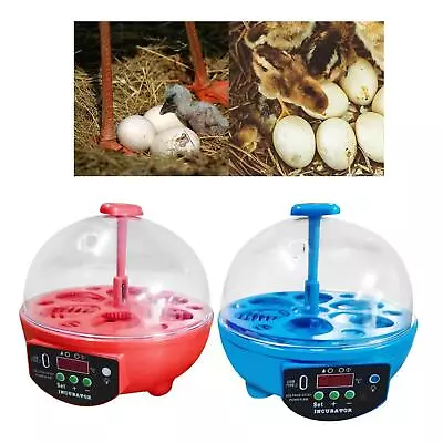 6 Eggs Incubator Temperature Control With Light Manual Egg Turner Chicken • £19.84