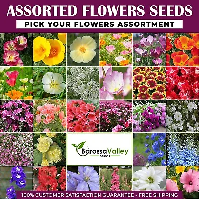 FLOWER GARDEN SEEDS  CHOOSE YOUR FLOWERS 250+ Variety Seeds   250+ FLOWER Seeds • $4.58