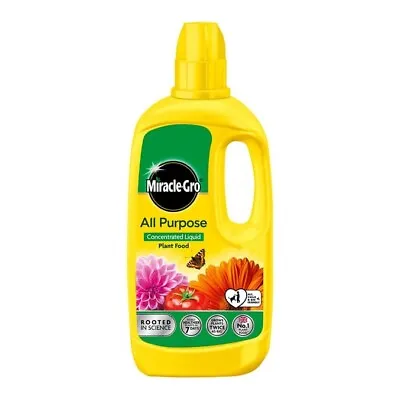 Miracle-Gro All Purpose Concentrated Liquid Plant Food 800ml • £10.99