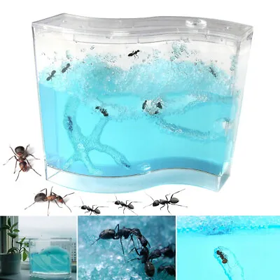 $13.56 • Buy Educational Tool 3D Blue Ant Farm Maze Live Feeding System Ants Habitat Villa