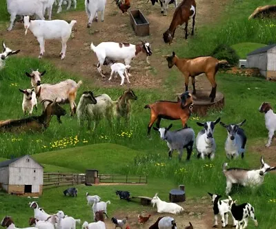 Fat Quarter Goats Farm Animals 100% Cotton Quilting Sewing Fabric   • £4.36
