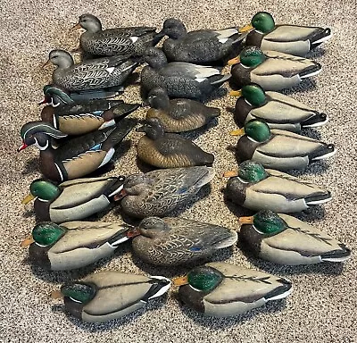 20 Green Head Gear Duck Decoy Lot Mallard Wood Duck Gadwall • $40