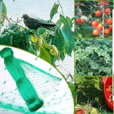 New 33FT Anti Bird Netting Pond Net Protection Tree Crops Plants Garden Mesh -US • $4.99