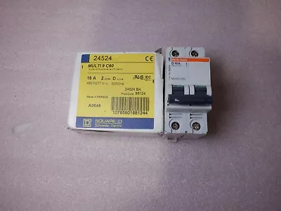 Merlin Gerin D 16a 2-pole Circuit Breaker • $21.49