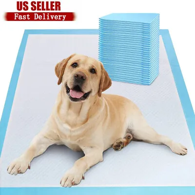 100PCS XL Dog Pads PEE Puppy Training Underpads House Ultra Heavy US • $30.99