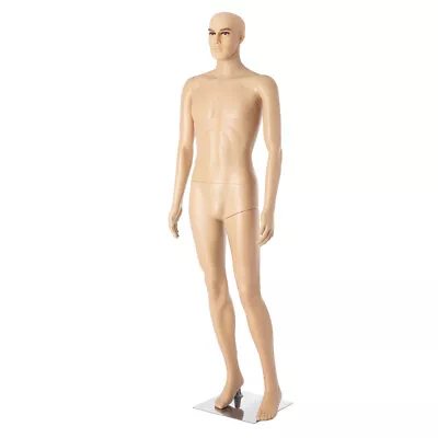 Male Mannequin Full Body Torso Dress Form Sewing Clothing Display Model Stand • $79.99