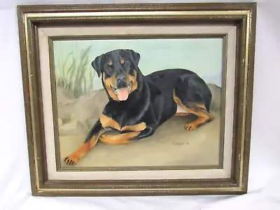 Vintage Original Painting Rottweiler Dog Portrait Framed 16 X 19 Art • $74.88