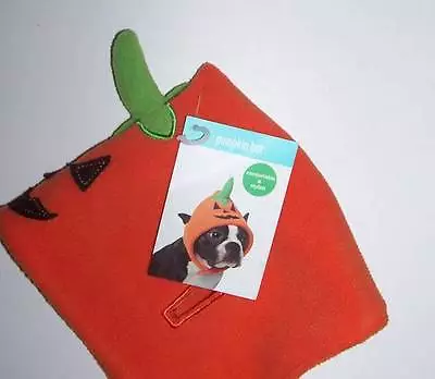 NWT Martha Stewart Pets Dog Pumpkin Halloween Hat  • $9.99