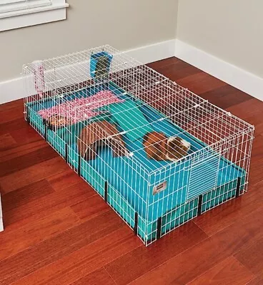 MidWest Guinea Pig Cage With Top Panel - White/Green (171GHP) • $45