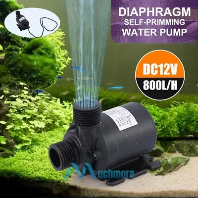 DC 12V 800L/H Mini Brushless Motor Quiet Submersible Water Pump Water Transfer • $7.05