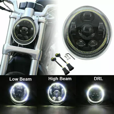 Black V-Rod Muscle Night Rod LED Motorcycle Headlight With White Angel Eyes  • $111.94