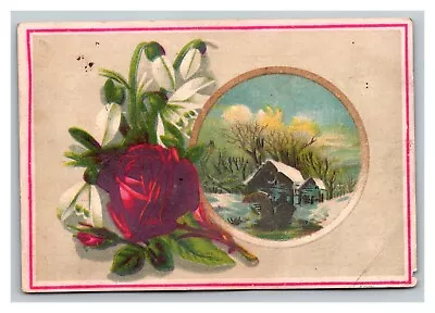 Vintage 1880's Victorian Trade Card Albrecht Piano Blasius & Sons Philadelphia • $19.97