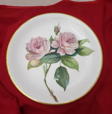 1880's Antique Minton Porcelain Cabinet Plate 9  Pink Roses Gold Rim RARE • £190.02