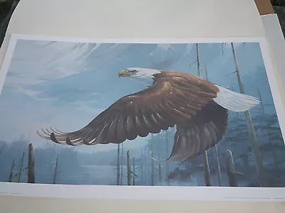 Mario Fernandez Onward Glory Limited Edition Print Bald Eagle Signed • $35