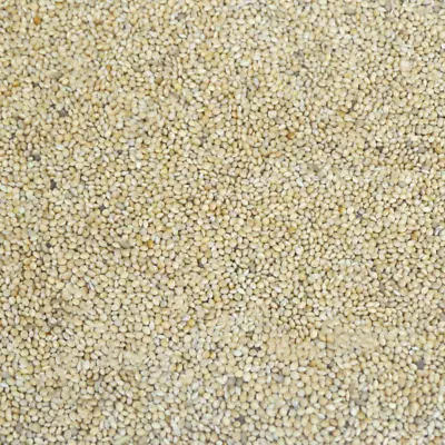 WHITE MILLET Bird Seed Food Budgie Canary Finch Aviary Parrot Parakeet Feed • £8.99