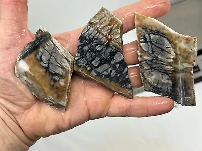 Picasso Marble (Jasper) Rough Slabs Cabbing Lapidary Reiki Chakra Utah • $16