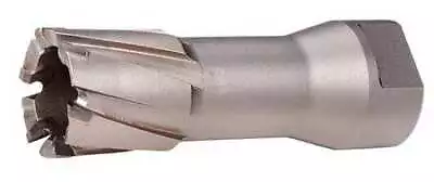 Milwaukee Tool 49-57-0875 7/8  Threaded Steel Hawg Cutter • $74.65