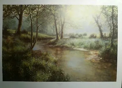 David Dipnall Bluebell Walk  Countryside Landscape • £34.99