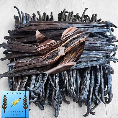 Gourmet Madagascar Bourbon Vanilla Beans Grade A | 6 ++ Long Beans • $164.99