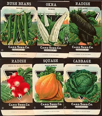 Vegetable Seed Packets Lot Antique Original Set Of 30 Fredonia New York 1920s • £91.83