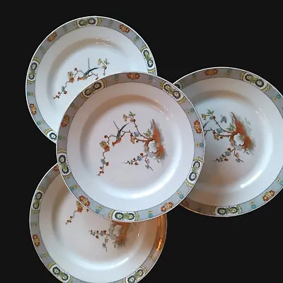 Four Victoria Czechoslovakia 10  Dinner Plates Exotic Bird & Flowers  Set Of 4  • $27