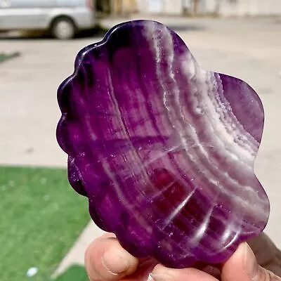 175G Natural Fluorite Quartz Carved Shell Bowl Crystal Spirit Therapy Gift • $3.85