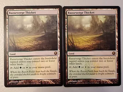 MTG 2x Razorverge Thicket 228/249 Moderate Play • $5