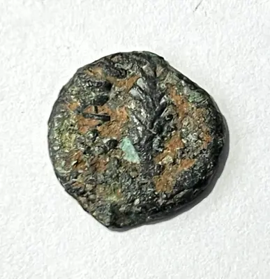 Porcius Festus 59-62 AD. Judaea Ancient Roman Israel Bible Coin AE Prutah • $27.99