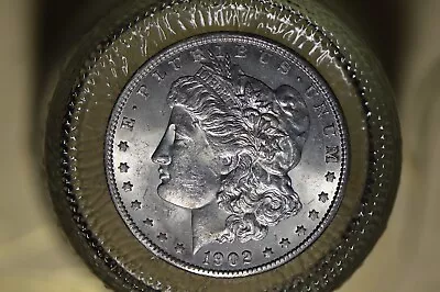 1902-O Morgan Silver Dollar Beautiful Old Album Coin MS++ • $70