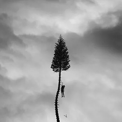 A Black Mile To The Surface By Manchester Orchestra (Record 2017) • $30.95