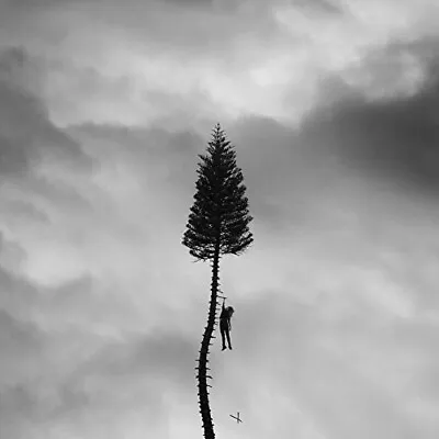 Manchester Orchestra - A Black Mile To The Surface Vinyl Record **NEW/SEALED** • $32.90