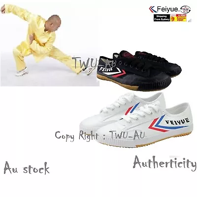 Feiyue Kung Fu Martial Arts Wushu Tai Chi Training Running Shoes AU Stock Seller • $10.95