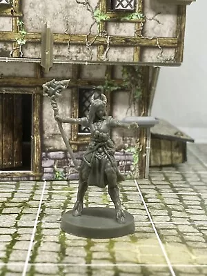 BRAY FLAMESHAPER FAUN - Blacklist Fantasy * Altar Quest Miniatures - D&D RPG • $2.99