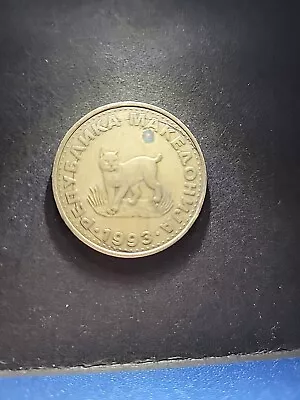 Macedonia 5 Denari 1993 European Lynx Coin     Cat • $2