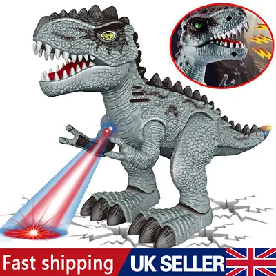 Kid Dinosaur Toys T-Rex Toys Electric Walking Dinosaur Toy Roaring Dinosaur Gift • £10.35