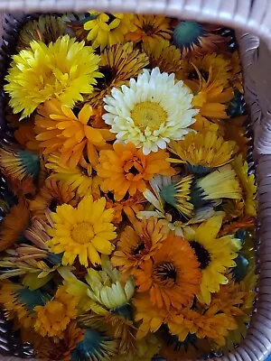 $2 • Buy Organic Calendula Dried Whole Flower Medicinal Herb  Trial Size 8 Grams