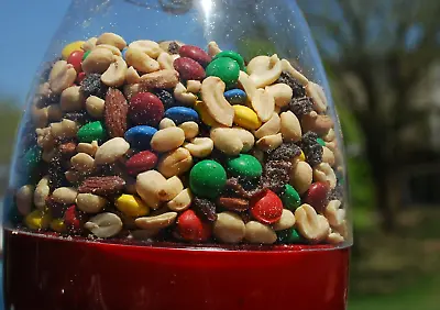 $99.99 • Buy 3 Gallons 16 Lbs. Nut Harvest Nut And Chocolate Trail Mix Bulk Vacuum Packed
