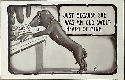 Dachshund Wiener Dog Sad Sausage Artist Signed Vintage Humor Postcard C1910 • $10.77