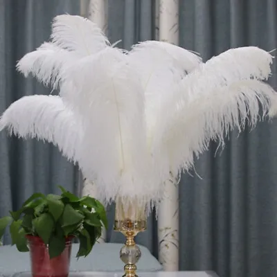 10PCS 25-40cm Large Ostrich Feathers Plume Craft Wedding Party Home Decoration • $16.25