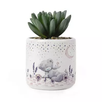 Me To You - Artificial Succulent - Gifting Decoration • $11.06