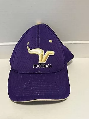 Minnesota Vikings Mesh Baseball Hat • $10