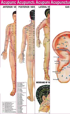 Acupuncture Points (3 Body + 1 Ear) Charts (Set Of 4) + Free 5 Sujok Rings • $19.65