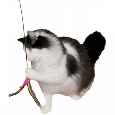 Imperial Cat 01131 Da Bird Wand Cat N Around Wands • $29.27