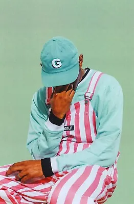 NEW Tyler The Creator  Poster Print Golf Wang Canvas FREE SHIPPING • $84.16