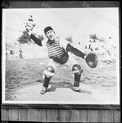 Phil Masi White Sox Medium Frame Negative - Jim Rowe Archive N88 • $15