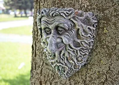 Resin Goblin Tree Face Garden Planter Head Ogre Peeker Wall Mounted Ornament • £11.99