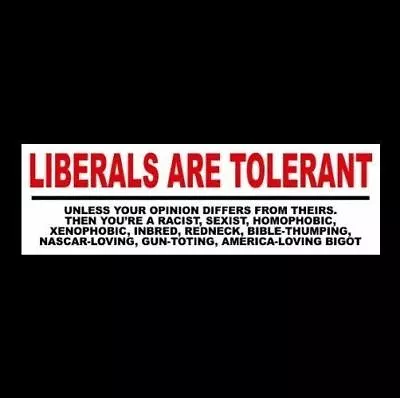 Funny  LIBERALS ARE TOLERANT  Anti Obama Hillary Clinton BUMPER STICKER Decal • $4.25