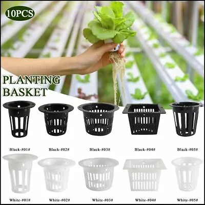 Clone Hydroponic Plant Grow Net Cup Nursery Pots Planting Basket Mesh Pot • £3.32