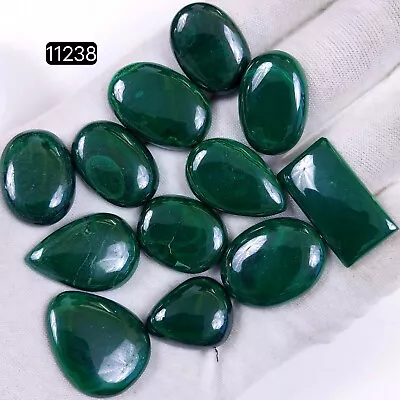 12Pc 326Ct  Malachite Back Unpolished Cabochon Gemstone Lot 26x14-20x14mm #11238 • $13.34