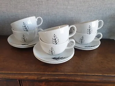 Royal Doulton Leaves Cafe. Set Of 6 Cappuccino Cups And Saucers  • £30